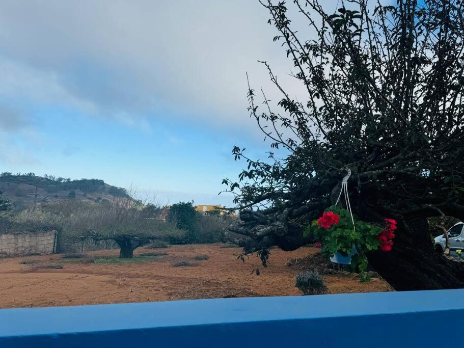 فيلا La Casita De Rosi La Esperanza  المظهر الخارجي الصورة